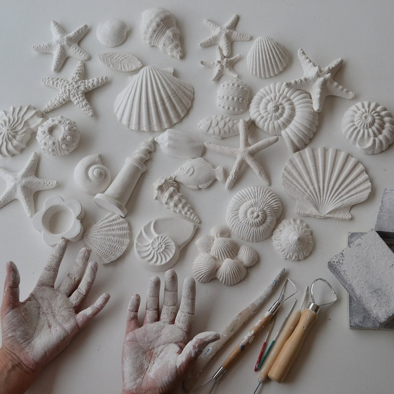 Chalkhill Studio Norbury Plaster Shell Set of 6