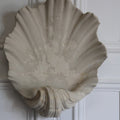 Chalkhill Studio Norbury Plaster Shell Uplighter Wall Light Large