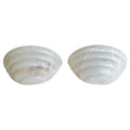 Vellum Stone Ashcombe Alabaster Half Moon Uplighter Wall Light Pair